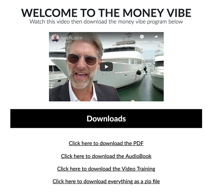 The Money Vibe Review